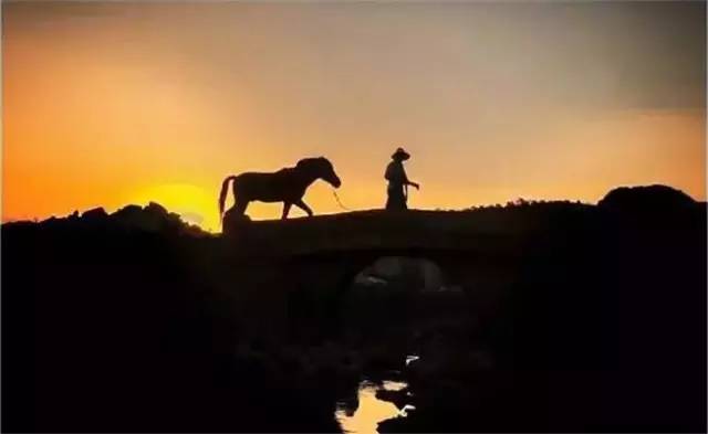 普者黑三生三世十里桃花风景,丘北普者黑十里桃花