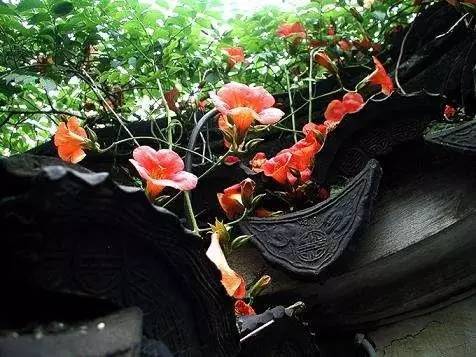 「诗词原创」陈天恩|空房独自频观月一寸相思几断肠?