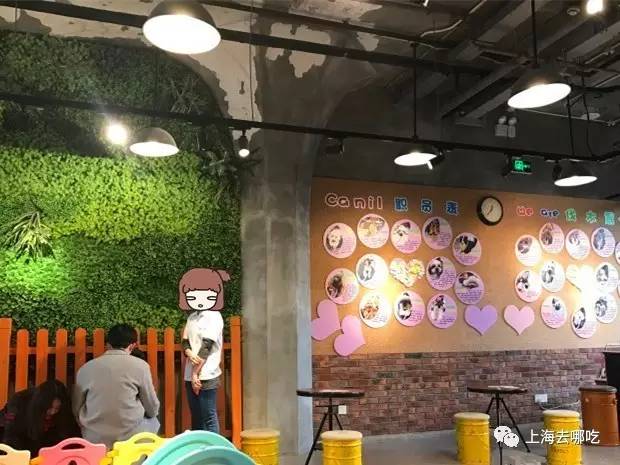 魔都这10家萌宠餐厅酒店，拯救留守在家的喵喵狗狗！咖啡、汉堡、江景……和主子腻在一起！