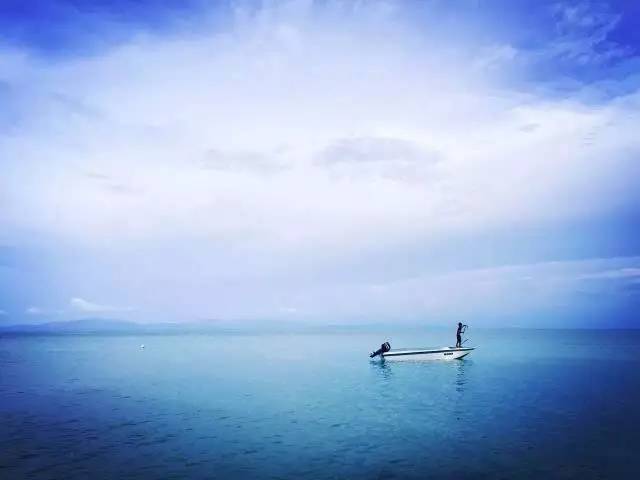 观看新警察故事,新警察故事免费看