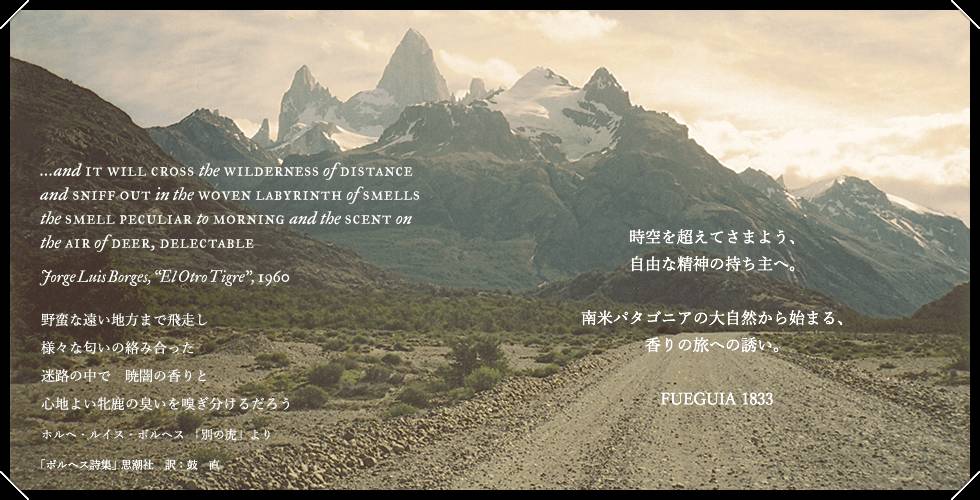 台湾大陆旅游凤梨酥,乌龙茶凤梨酥