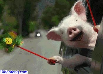 西安将迎雨雪降温天气,未来一周西安局地气温可达40度