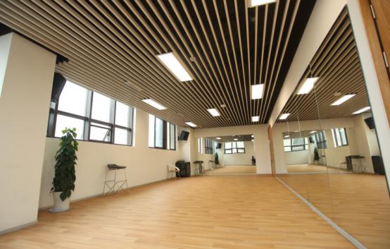 梦幻足球美少女,梦幻足球美少女组合