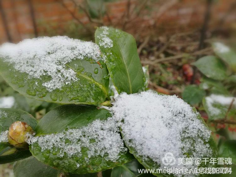 永远的余子店——文/刘宏冰