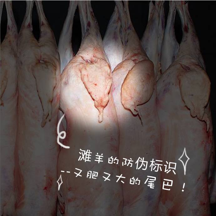 吃了六味地黄丸尿多,吃了六味地黄丸拉尿不出