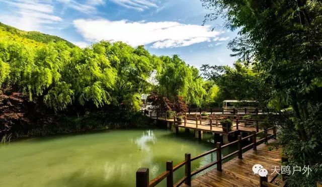 郑州到婺源自由行攻略,郑州去婺源怎么去