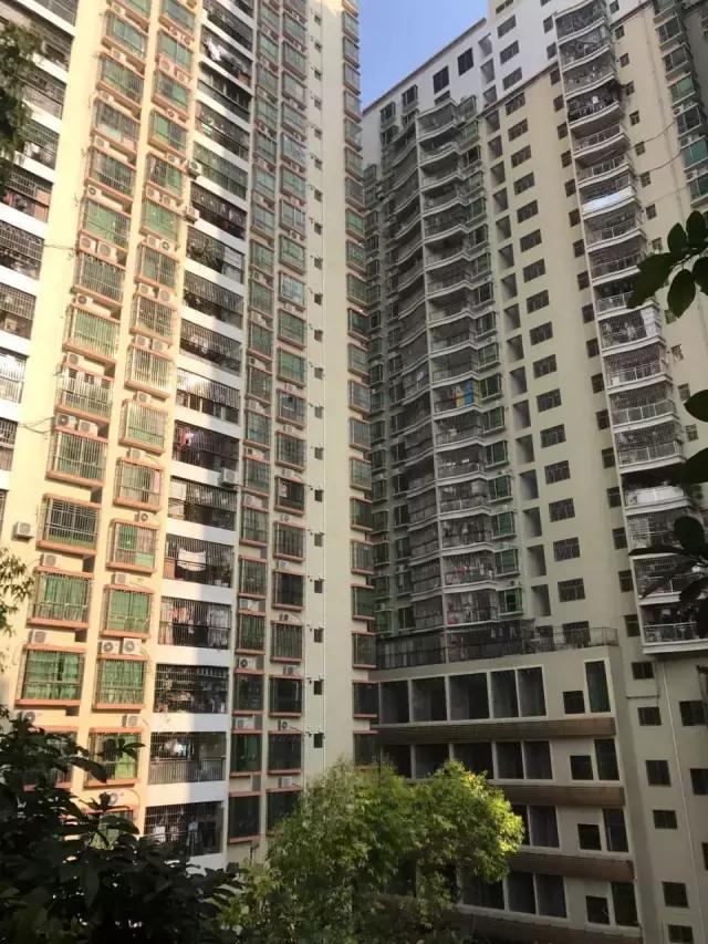 深圳第一村南岭现在怎样,南岭村未来的发展规划