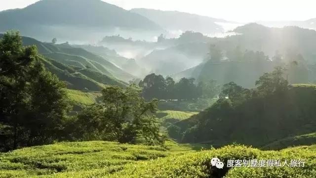 清迈四季酒店值得去吗,清迈四季酒店在哪里