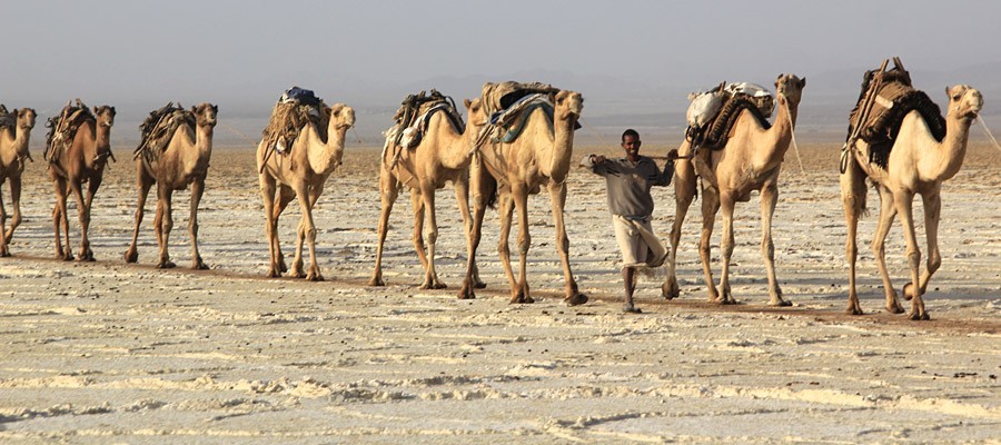 想去中东旅行?这位非洲人的环游中东经历值得参考