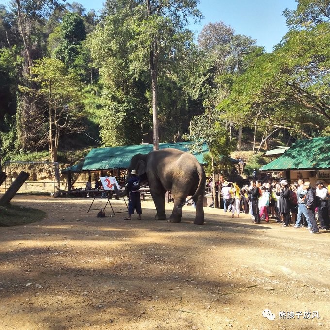 能在异国被警察抓也没谁了吧？这是我的清迈，和你去的不一样！