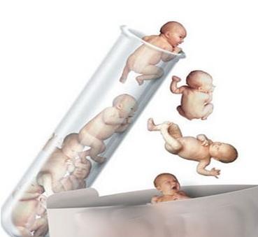 猪人工授精的步骤及注意事项,牛人工授精后有哪些方面注意