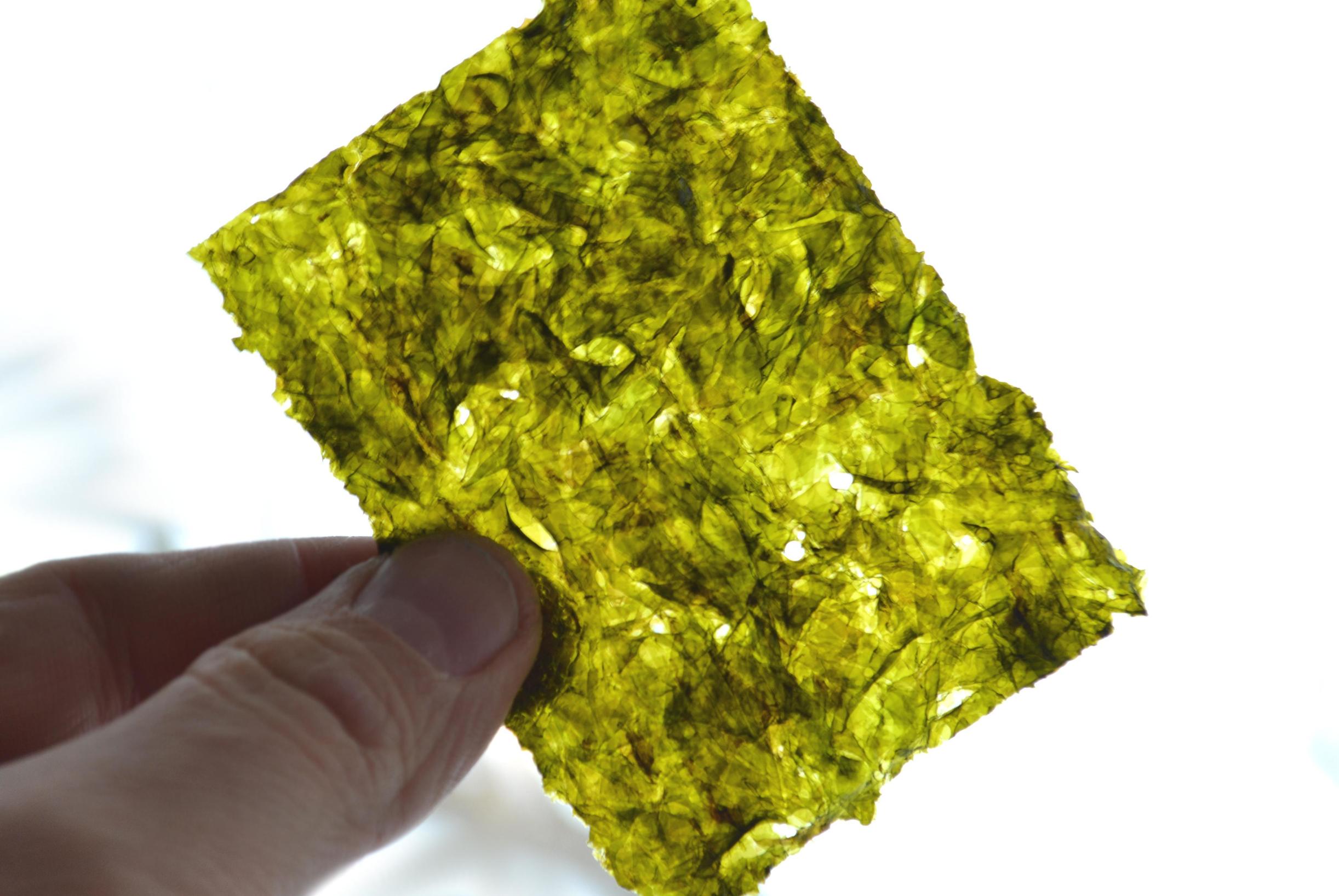 塑料紫菜是真的吗,紫菜造假谣言