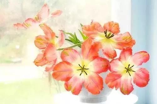 出国工作学什么,出国留学你做什么准备