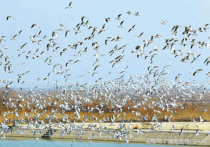 渭南新闻快报电话,渭南新闻头条24日