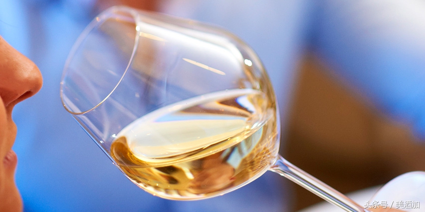 白葡萄酒是白色的吗能喝吗,白葡萄酒为什么是白色