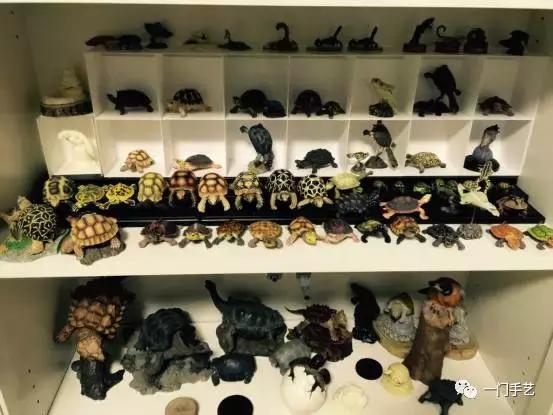 动物模型龟类,乌龟哪个模型好看
