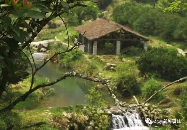 北京赏花踏青自驾游,北京国家森林公园踏青