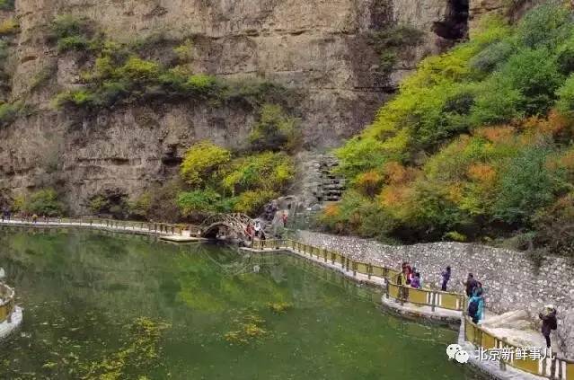 北京赏花踏青自驾游,北京国家森林公园踏青