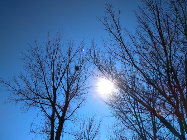 糖果手机S*评9**测6400万超清像素更清晰