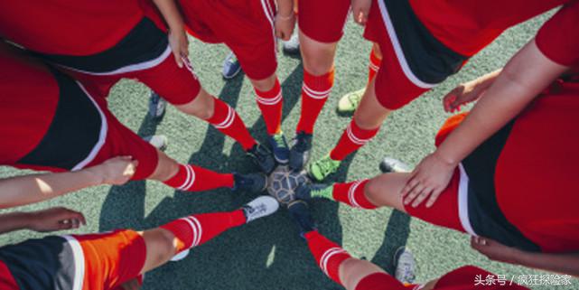 来感受一下世界第一大格斗运动,来一场运动