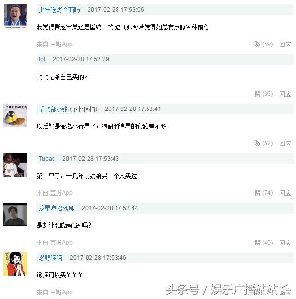 王思聪家养熊猫,王思聪的认养熊猫