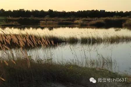 威海最有名的女人,山东威海最漂亮的女人