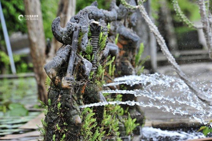 巴厘岛情人崖猴子,巴厘岛最美情人崖