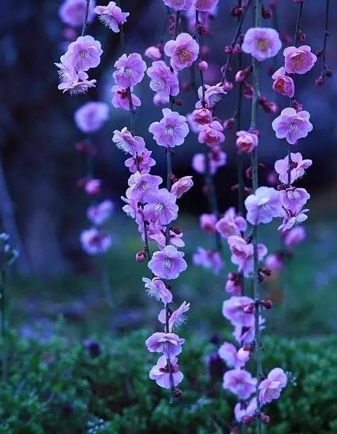 小学成语分类整理大全,这份成语分类大全替孩子存下吧