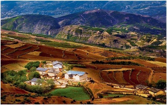 清新之旅，那片秋色处女地