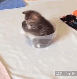 爆笑动态图：大自然，最杰出的艺术家！（第3182期）