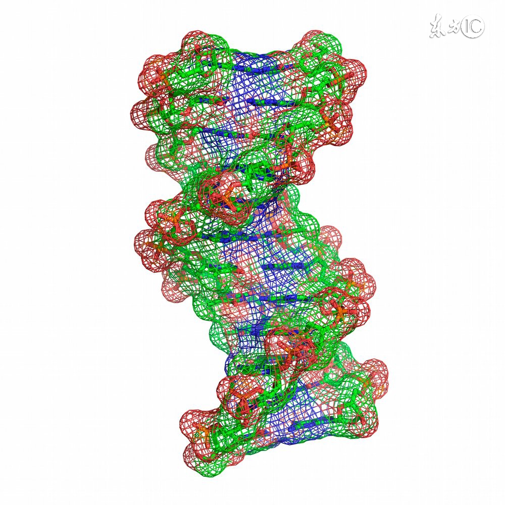 引起肺癌的三大主要原因,诱发肺癌的原因