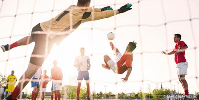 来感受一下世界第一大格斗运动,来一场运动