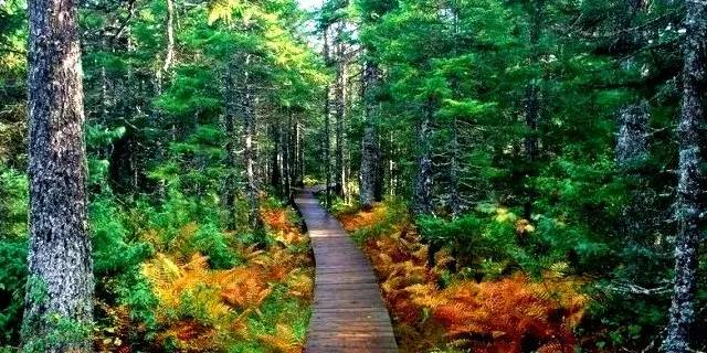 东北最值得去的5a景点,东北5a景区环游