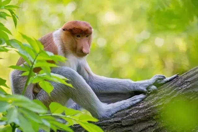 你为什么想去沙巴旅游,人生头一次到喀什