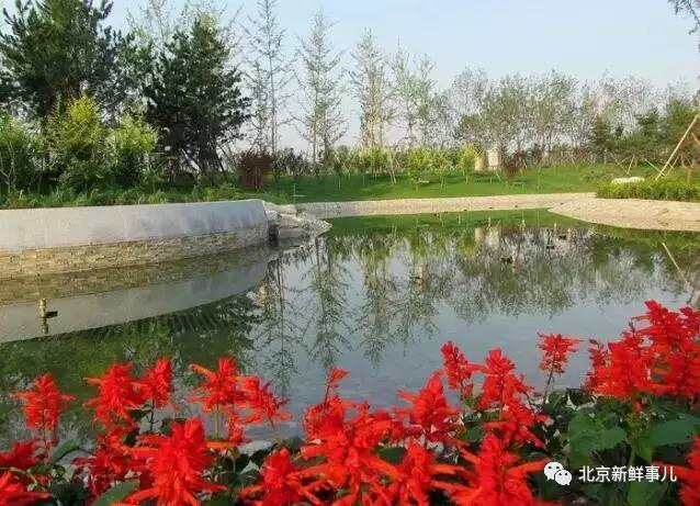 北京赏花踏青自驾游,北京国家森林公园踏青