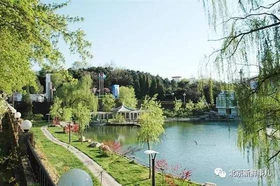 北京最美赏花公园在哪,北京赏花公园景点推荐