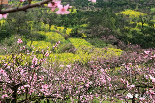 欣赏三生三世十里桃花美景,带你看风景三生三世十里桃花