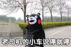 「热点聚焦」“以租代购”买带牌新车？小心被套路！