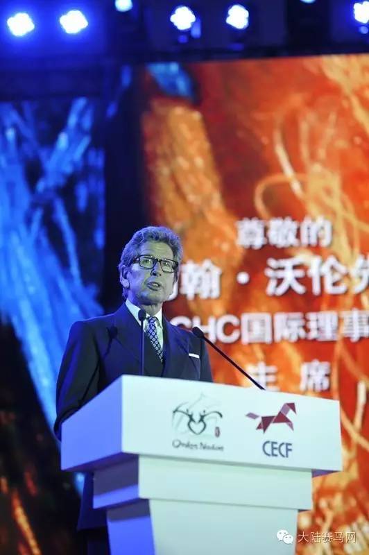 马术文化节开幕,鄂尔多斯驭马节赛事