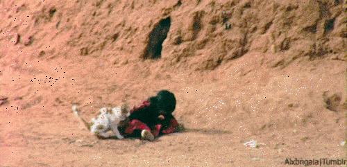 想当年，大公鸡它竟然啄了我的……！