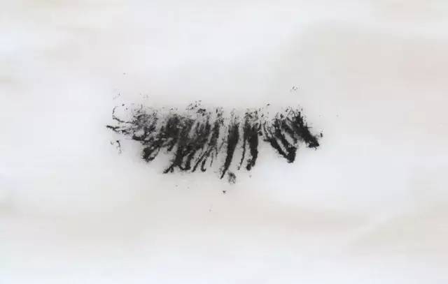 8款口碑超好的睫毛膏推荐,8款口碑超好的睫毛膏推荐一下