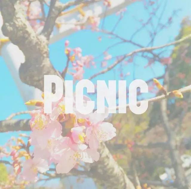 周末浪里个浪|100元春游基金+15家民宿限量房券6折起送你去春游