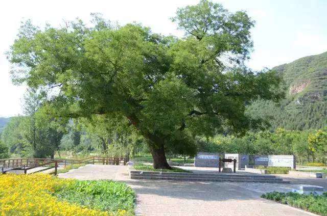 春江镇人美滋滋！占地7万平米的“超级公园”，出门儿十分钟就能走到！