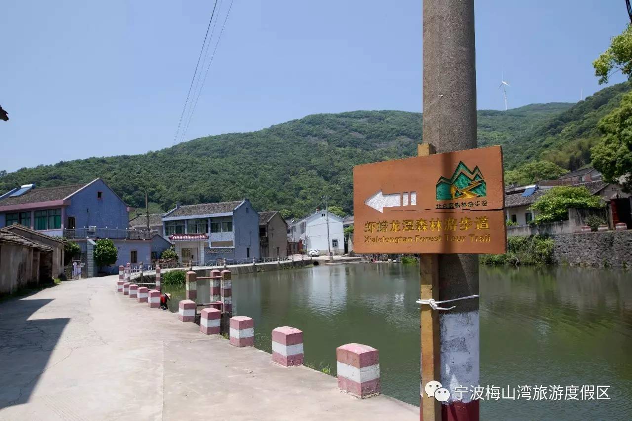 顶级赛车赛事盛况,世界顶级车展最新消息