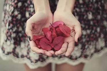 怎么辨别报关单型号真假,商品报关记录一定可以鉴别真伪吗