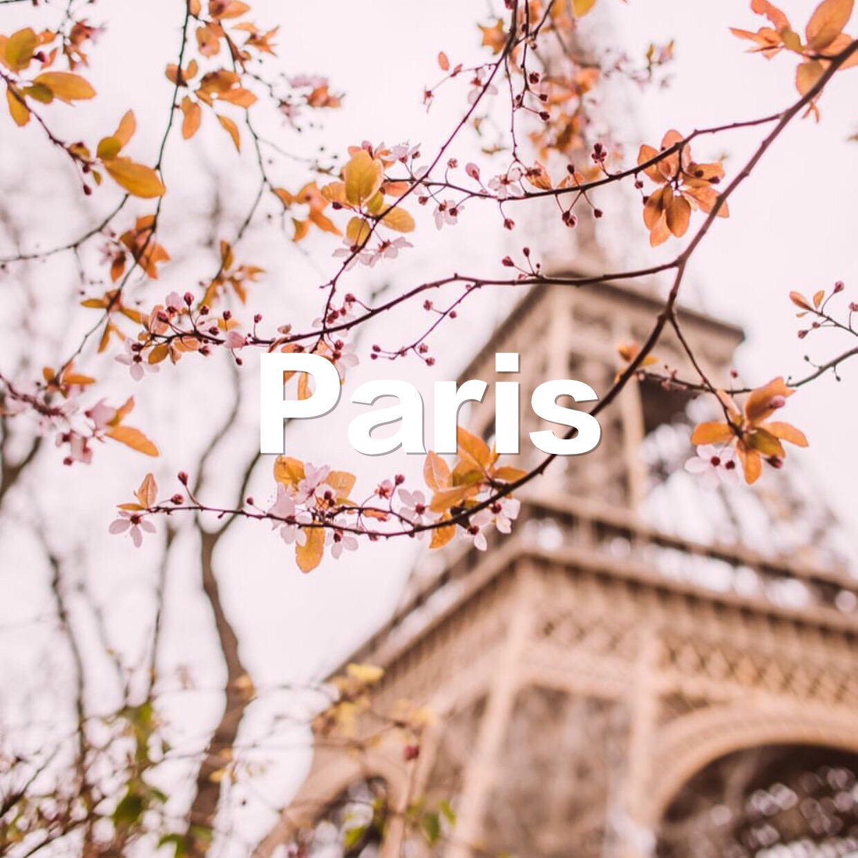 芭能御姐约你来看时装周