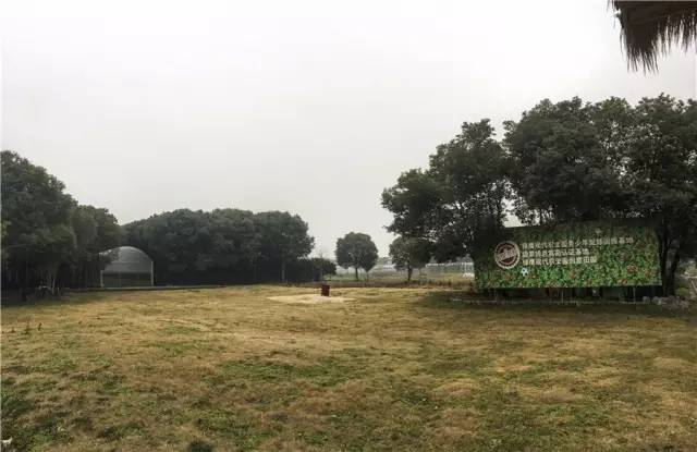 余杭最好吃的草莓,全国精品草莓金奖