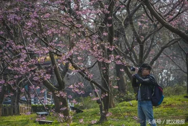 去绿道最好的方法,走东湖绿道最佳路线