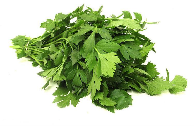 7种东西泡水喝治疗口臭,哪7种食物易造成口臭