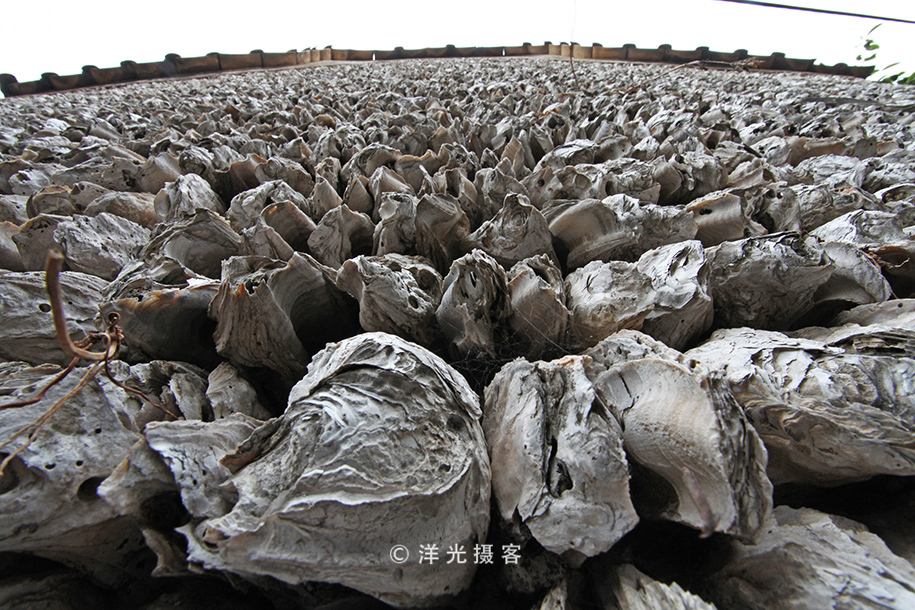 有人说榕树容财不容人是什么意思,榕树不容人的迷信说法